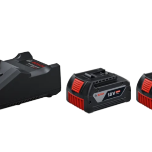 Power Set 2x 18V 4,0 Ah + GAL 18V-40